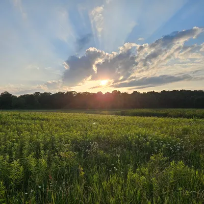 Sunset over the prairie (taken last year)