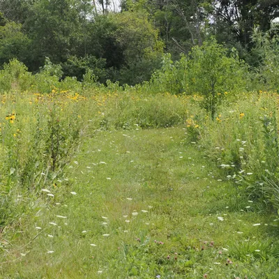 A path for slow walking and nature soaking